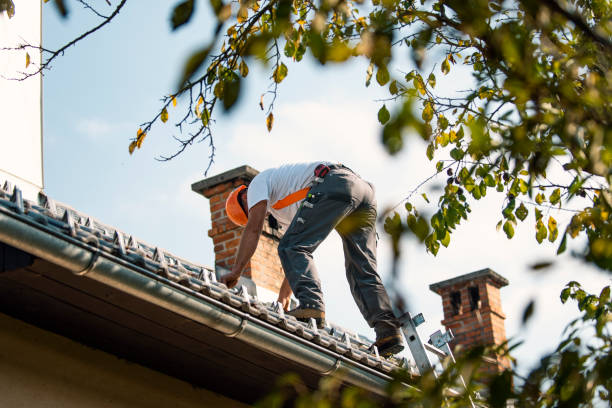 Best Sealant for Roof  in Friendship Heights Village, MD