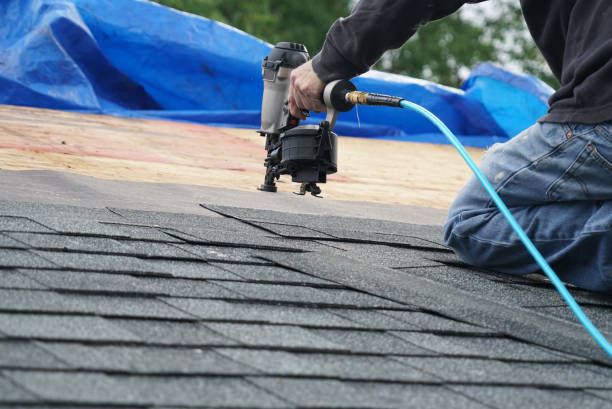 Best Roof Gutter Cleaning  in Friendship Heights Village, MD